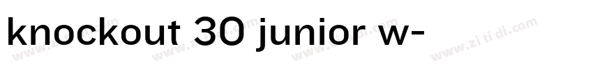 knockout 30 junior w字体转换